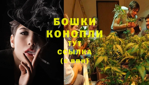 MESCALINE Вяземский